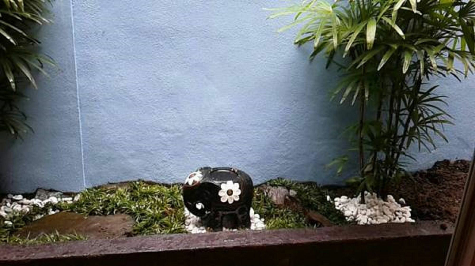 Azzurro Elefante Villa Kyoto Luaran gambar